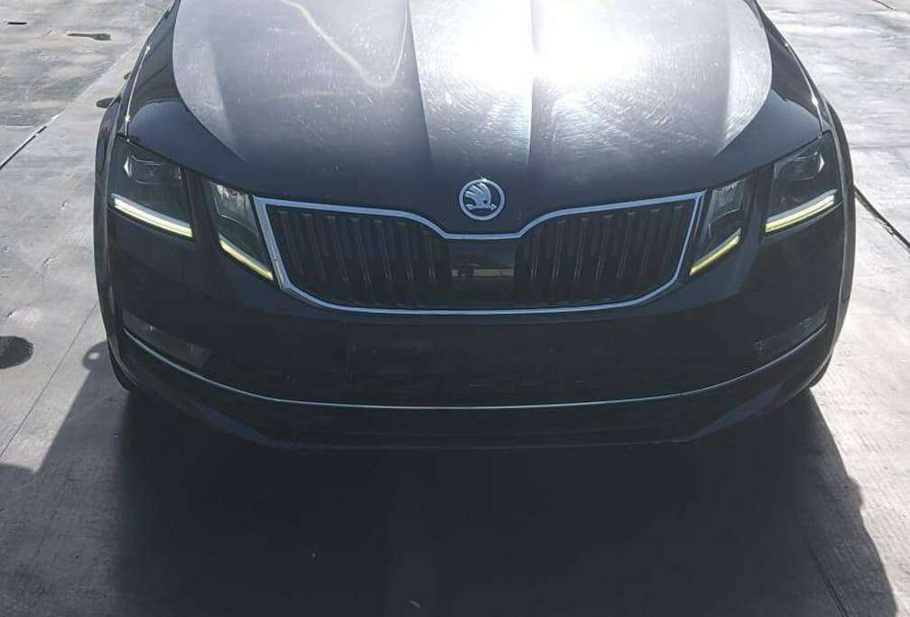 Skoda Octavia SW 1.6 CR TDi Ambition (EU6.2)