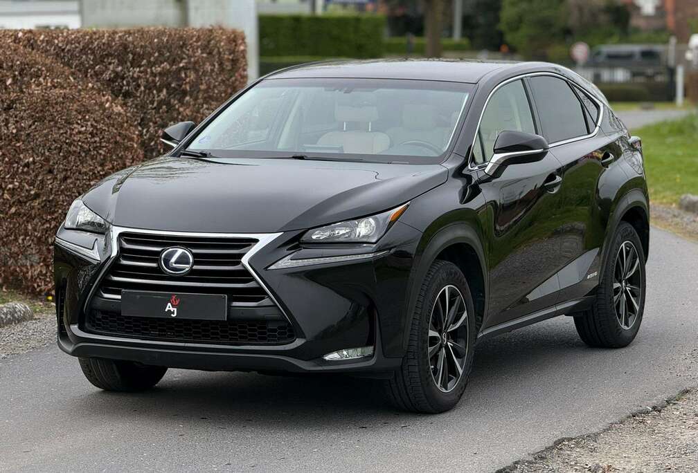 Lexus NX 300h 2.5i AWD Business Edition E-CVT (Fleet)