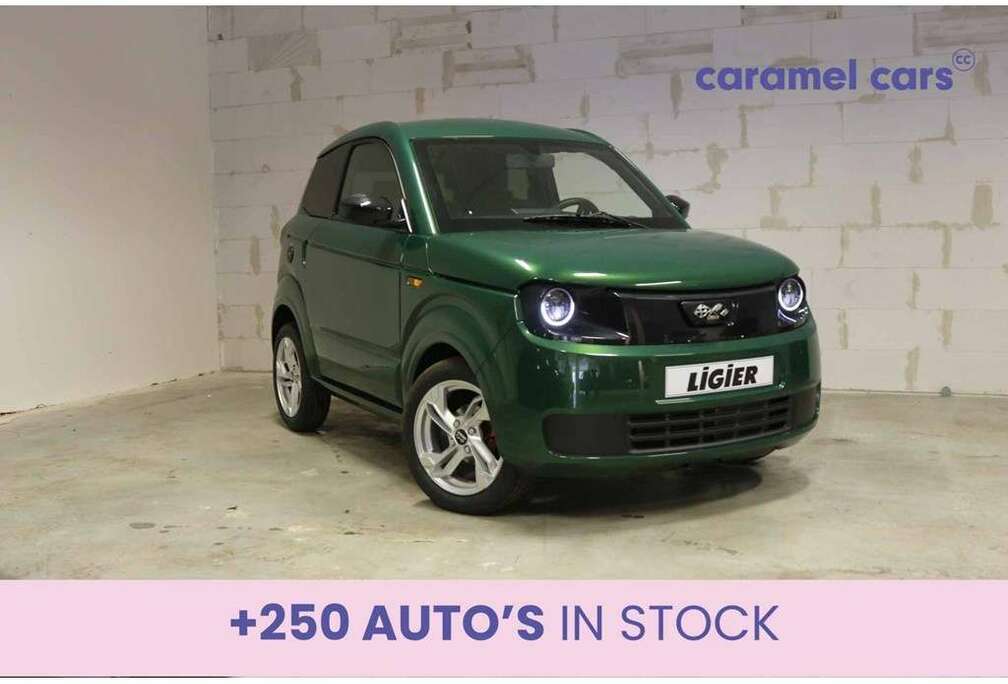 Ligier DIESEL E.PIC *CARPLAY*DAB*ACHTERUITRIJCAMERA*STUUR