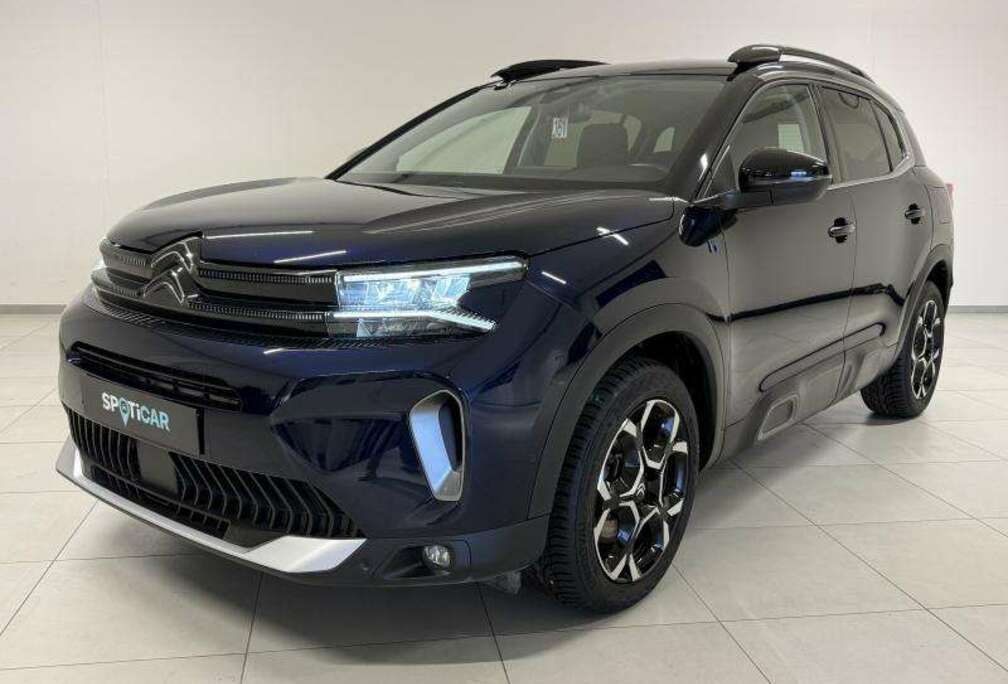 Citroen Business