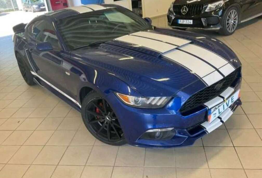 Ford Sport