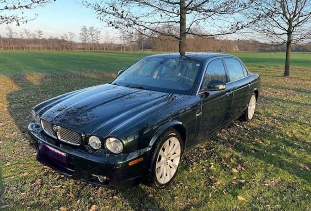 Jaguar