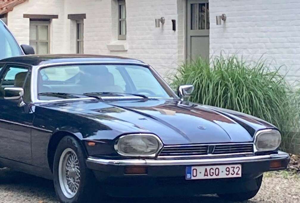 Jaguar