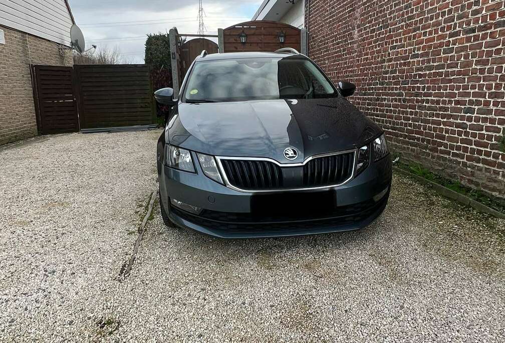 Skoda SW 1.6 CR TDi Ambition DSG (EU6.2)