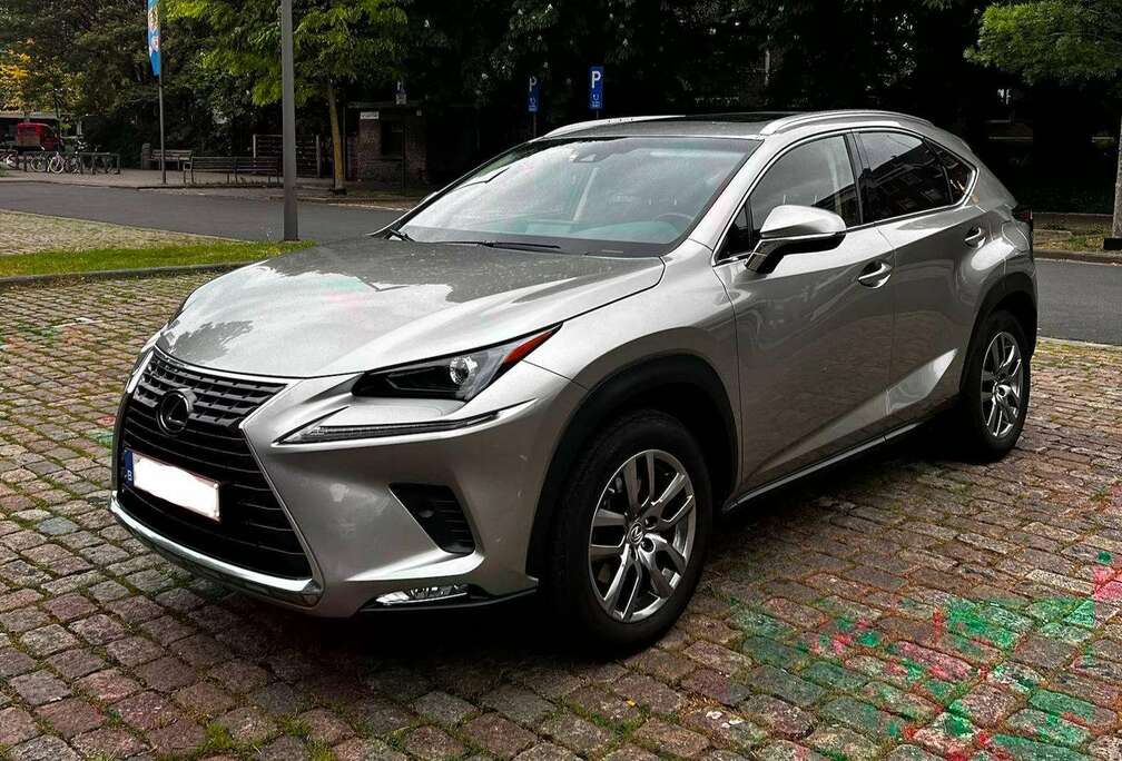 Lexus NX 300h 2.5i AWD Business Line  E-CVT (EU6.2)