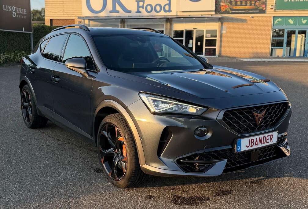 Formentor 2.0 TSI 4Drive VZ DSG