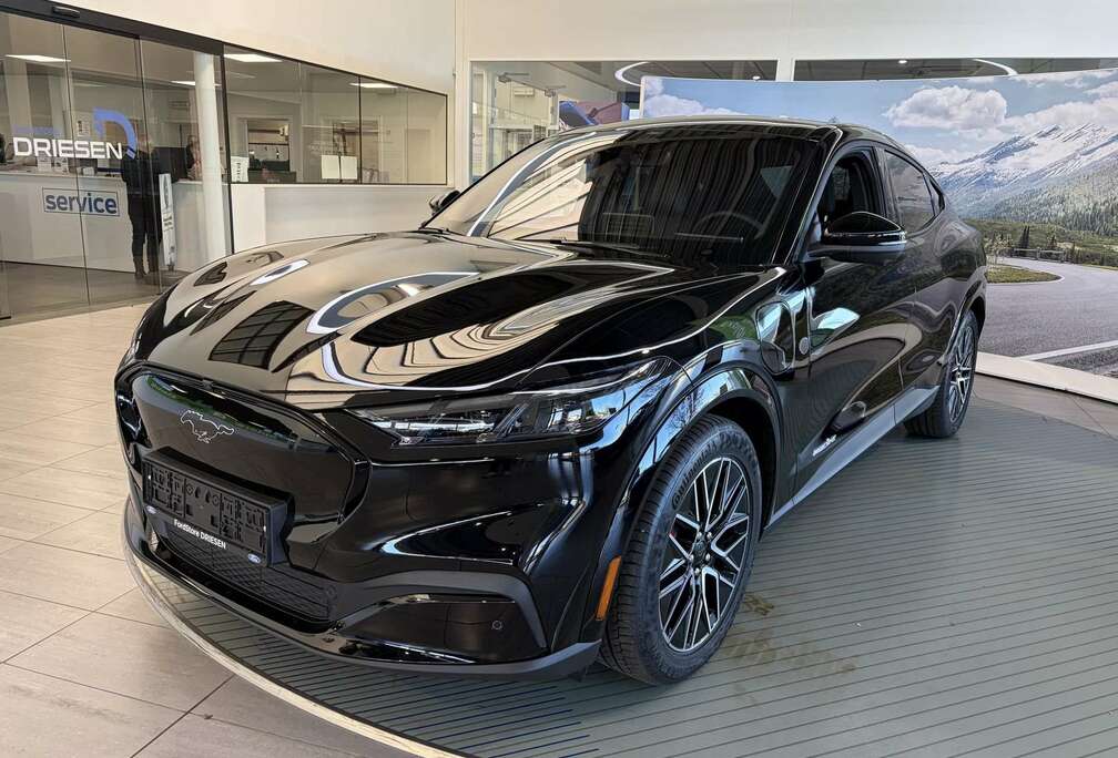 Ford 91 kWh Premium RWD