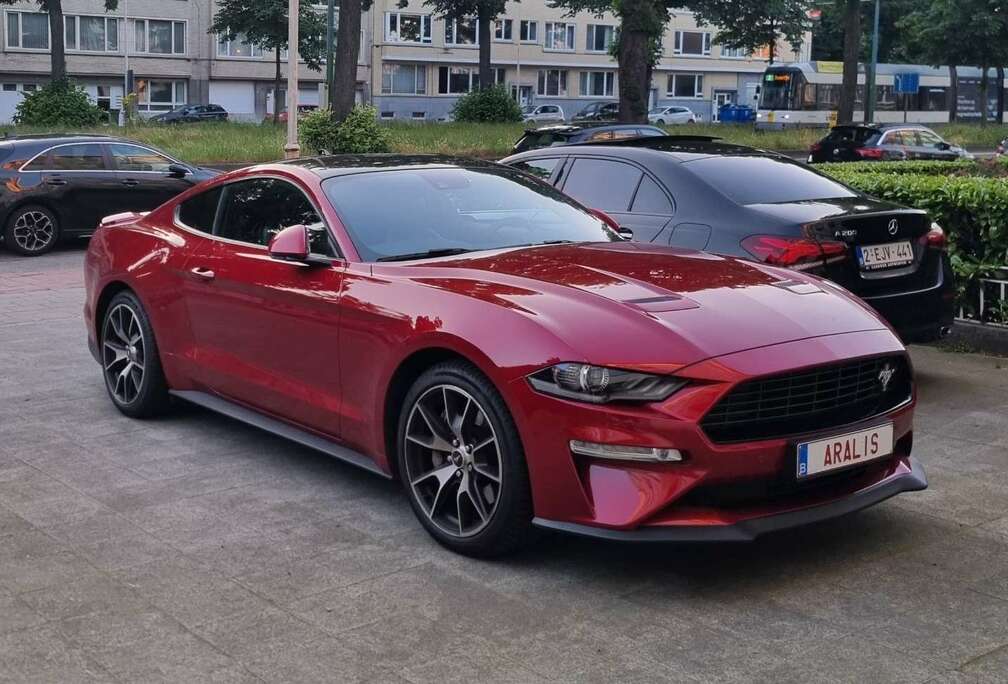 Ford Fastback 2.3 Eco Boost