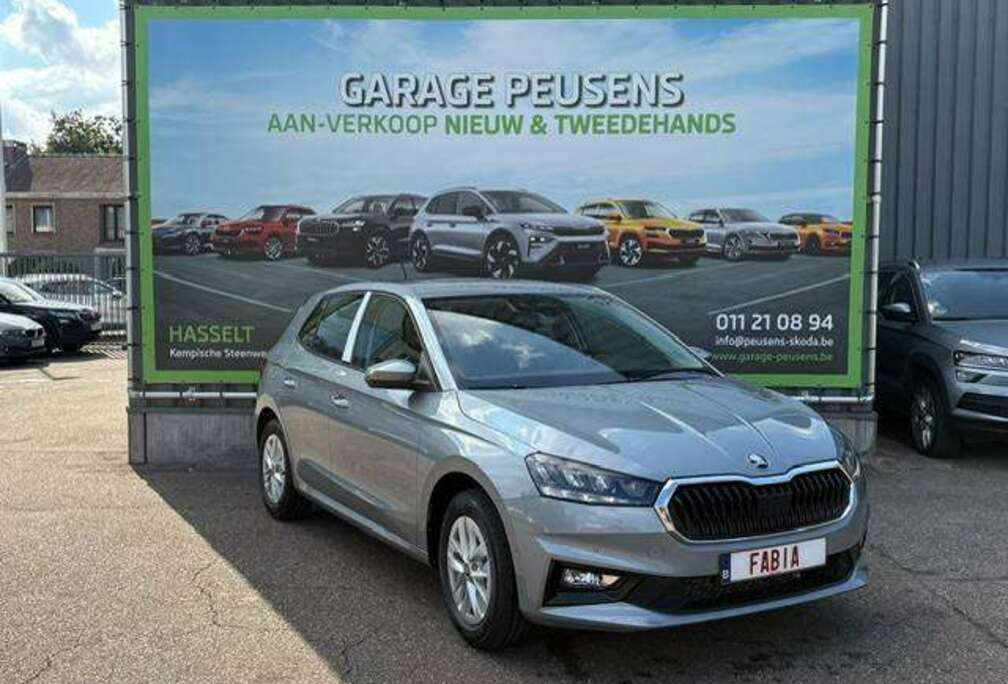 Skoda 1.0 TSI Family DSG