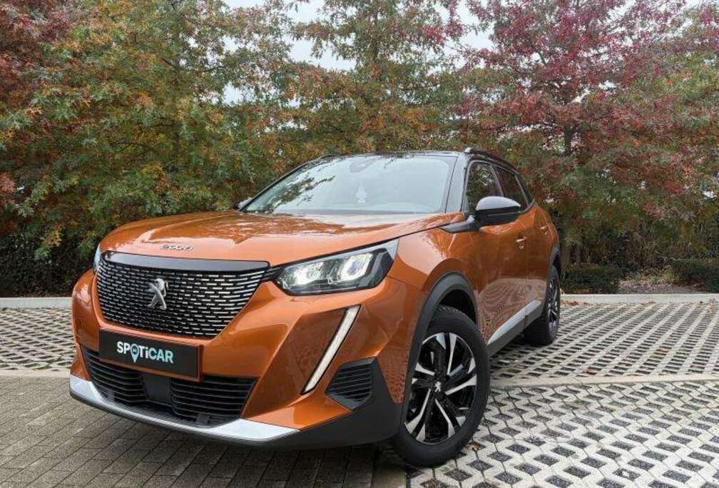 Peugeot Allure Pack
