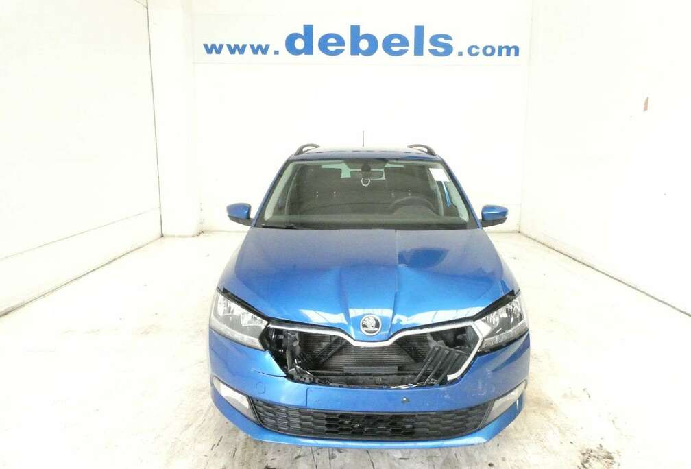 Skoda
