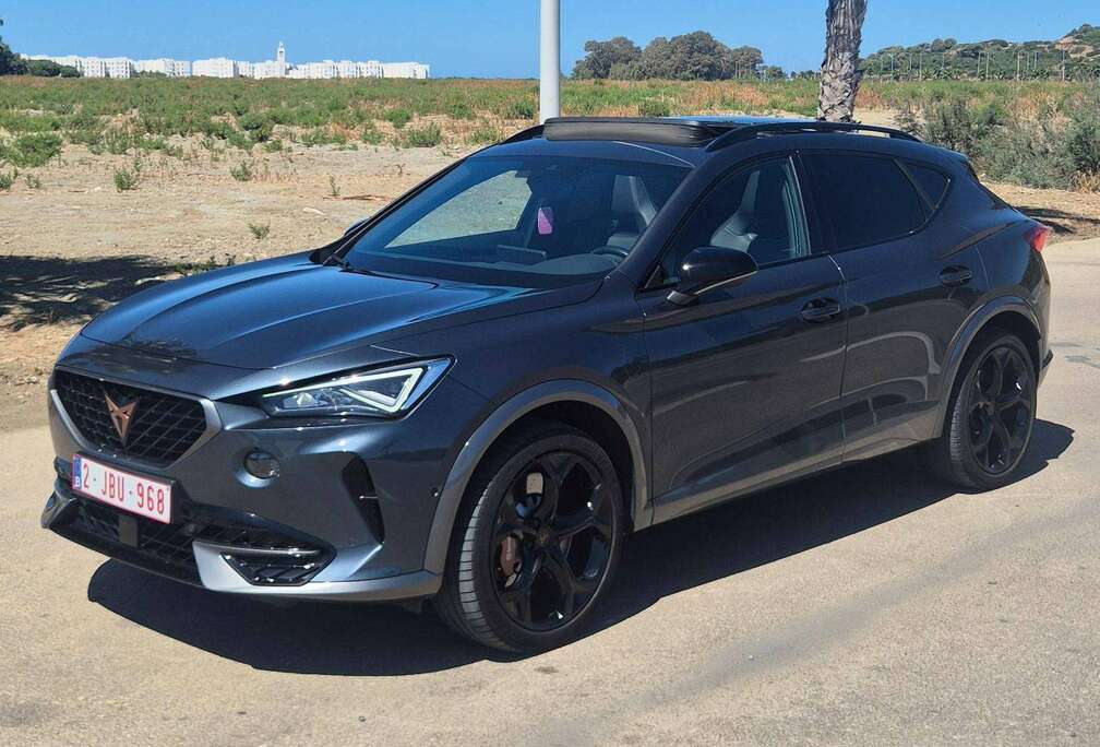 Formentor 2.0 TSI 4Drive VZ DSG