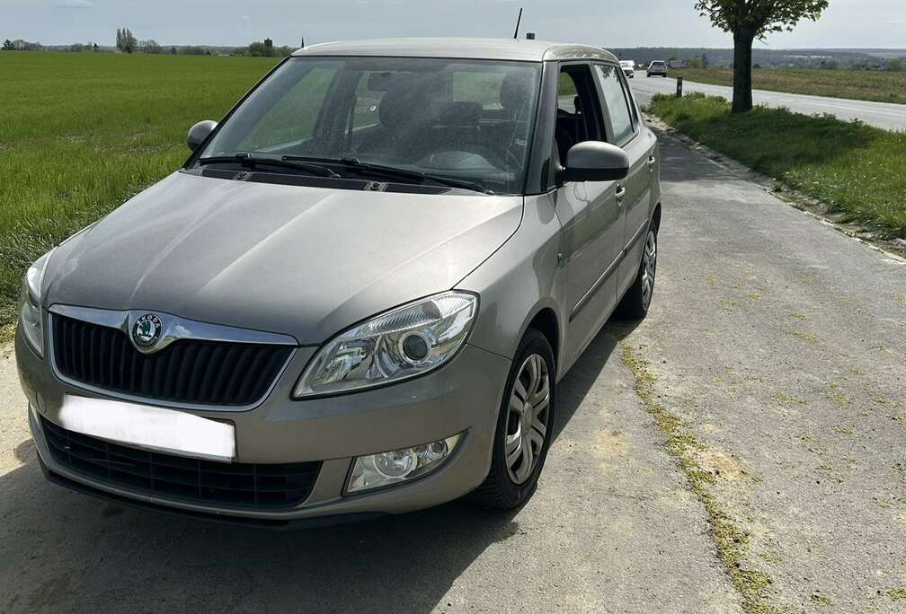 Skoda 1.0i Classic