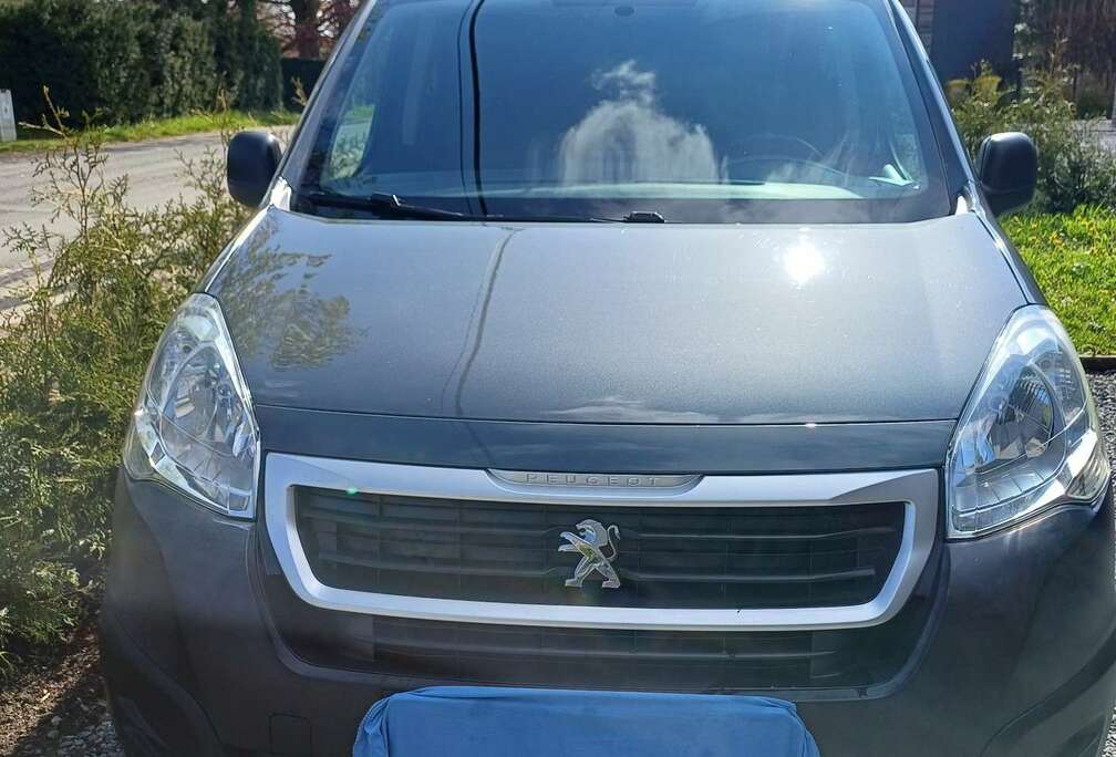 Peugeot 1.6 HDI