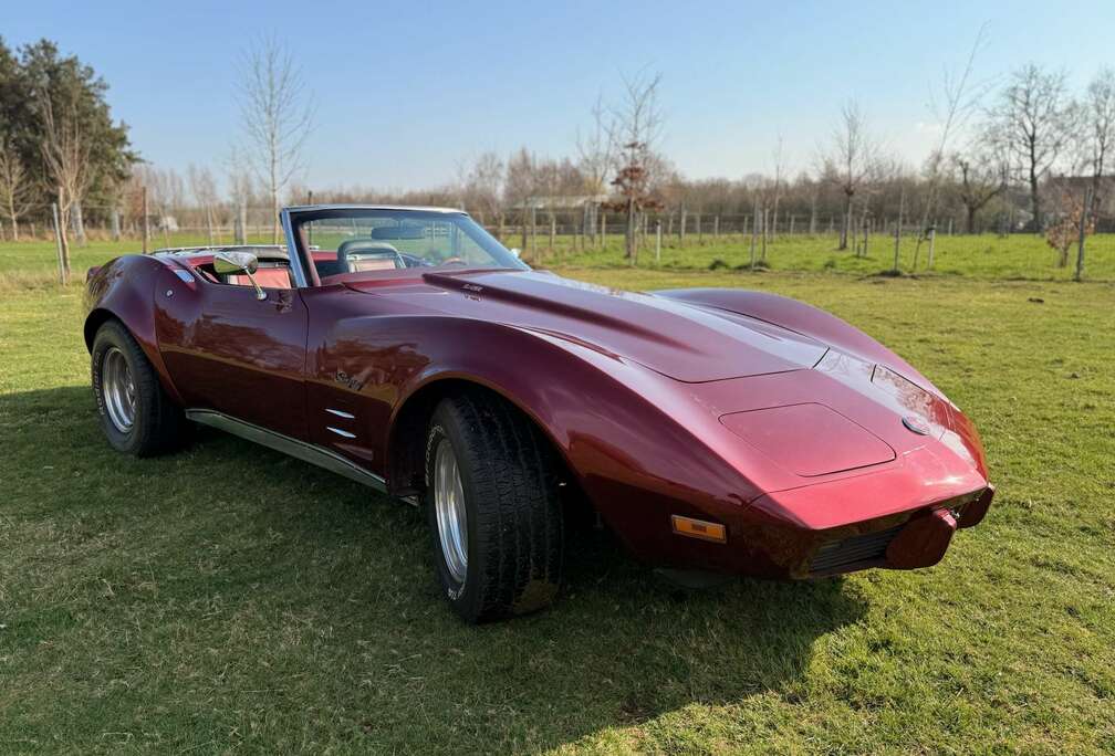 Corvette Stingray in uitstekende staat