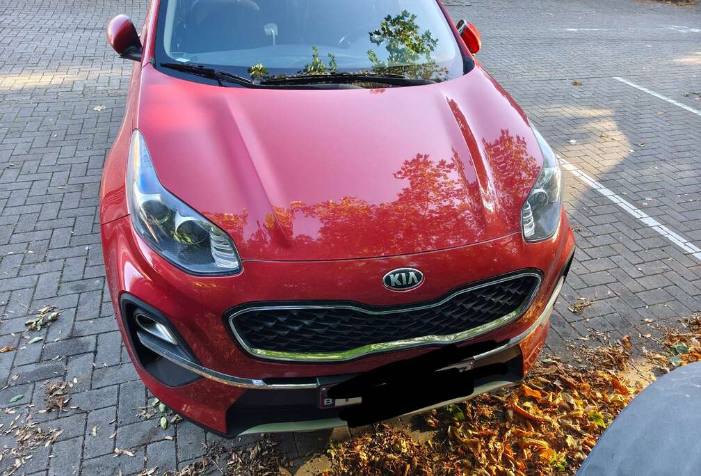 Kia Sportage 1.6 CRDi MHEV Business Line DCT