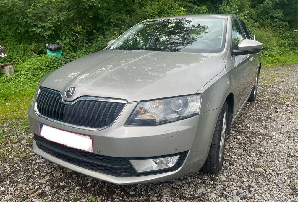 Skoda 1.6 CR TDi GreenLine Ambition