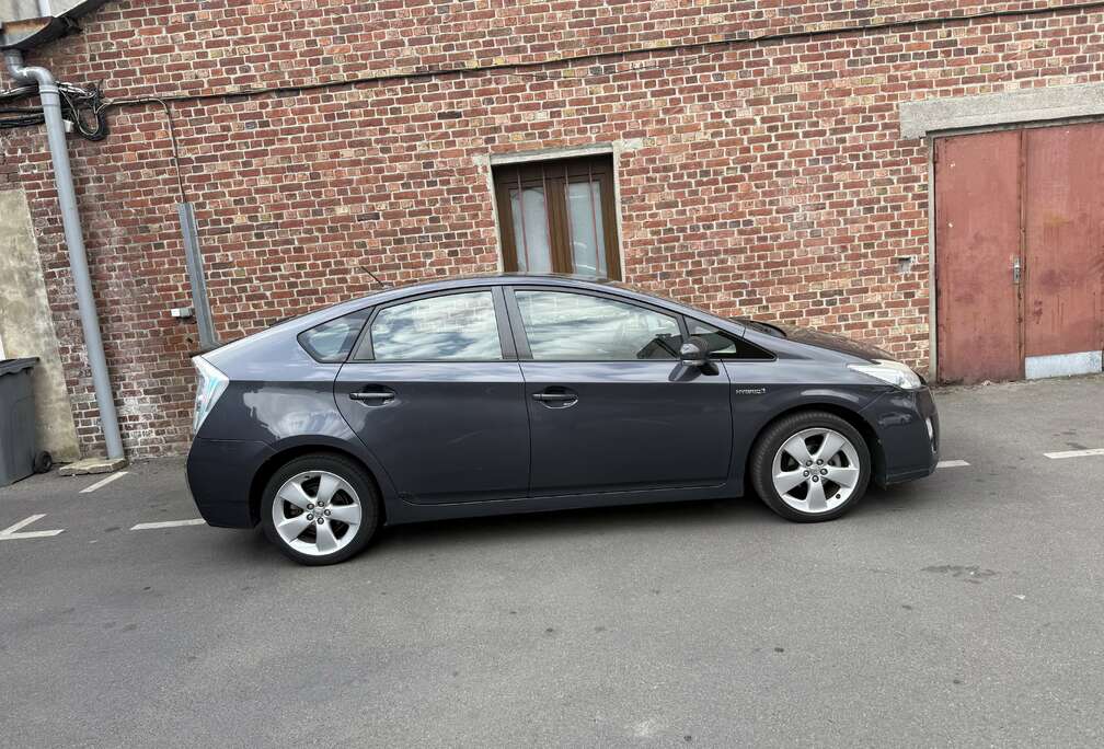 Toyota Business Line - Luna
