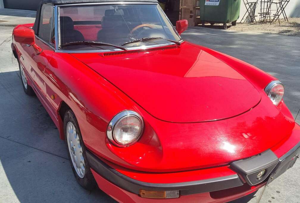 Alfa Romeo 1987 quadrifolio