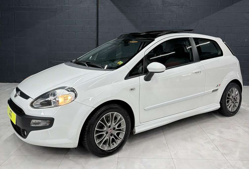 Fiat Punto EVO 1.3 MultiJet Dynamic Stop