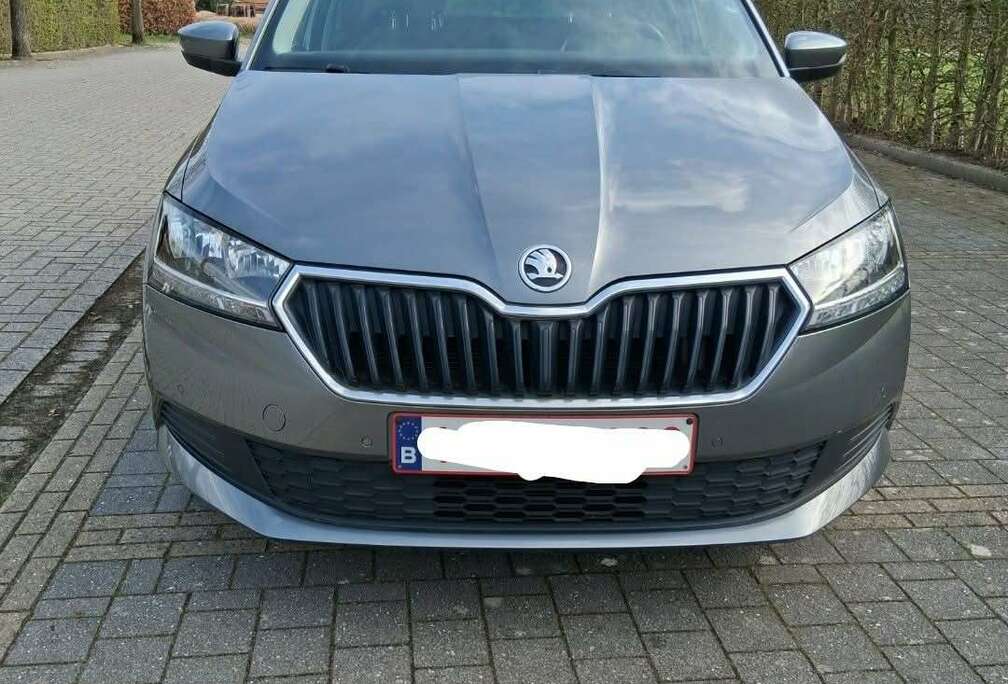 Skoda Combi 1.0 TSI Ambition