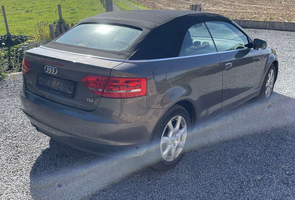 Audi Cabriolet 1.6 TDi Ambition Start/Stop DPF