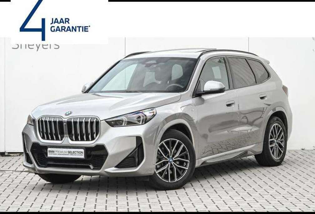 BMW xDrive25e