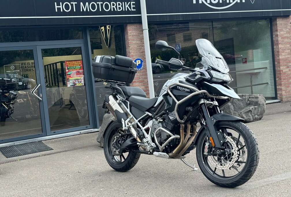 Triumph GT Pro (garantie 24 mois)