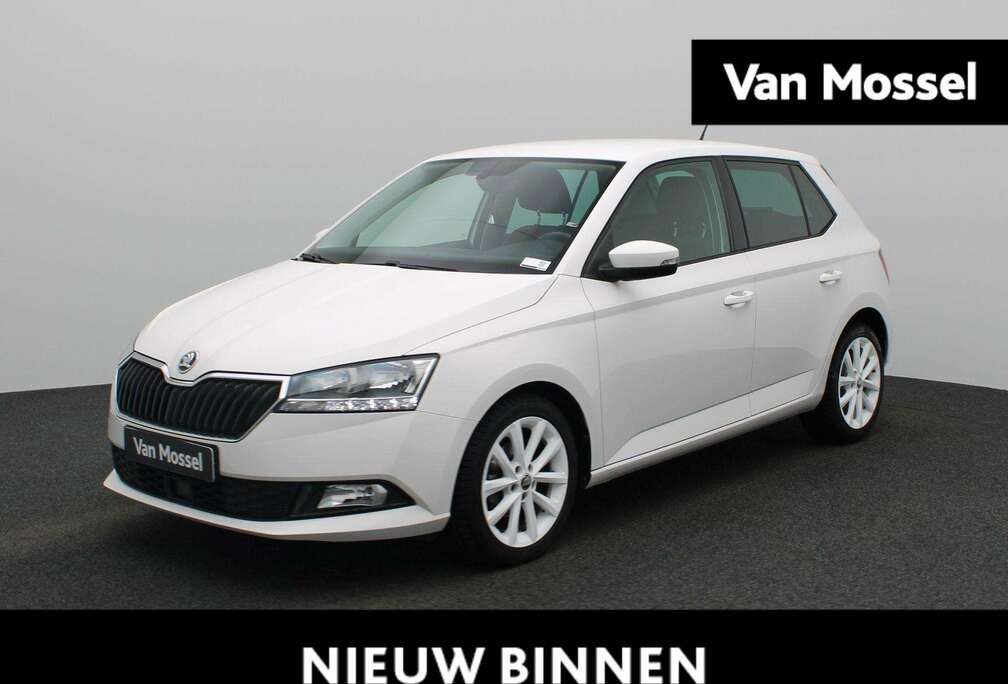 Skoda 1.0 TSI 81kW Clever