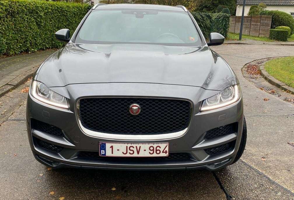 Jaguar