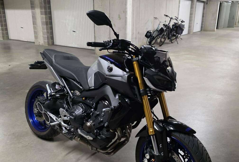 SP