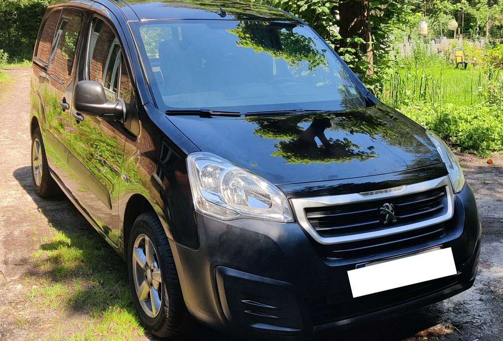 Peugeot Partner 1.6 BlueHDi 75 L1 Pro