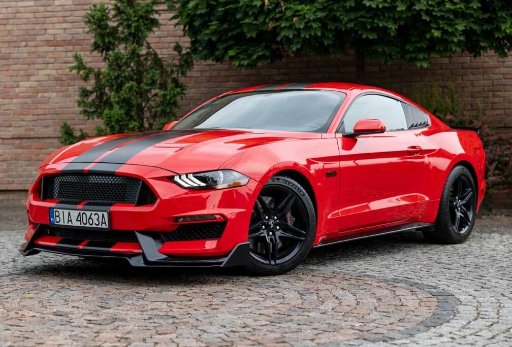 Ford Fastback 5.0 Ti-VCT V8 Kompresor Roush