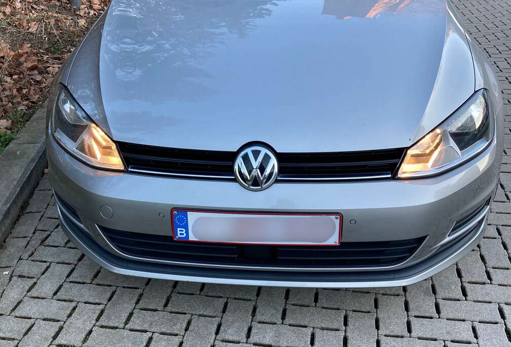 Volkswagen 1.6 CR TDi 4Motion Trendline