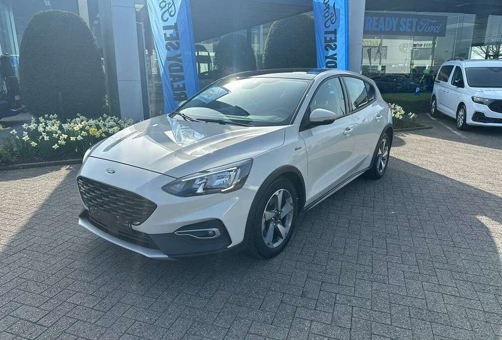 Ford EcoBlue Active Business