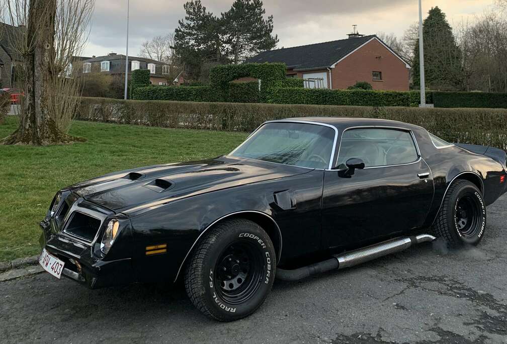 Pontiac pontiac formula 400 1976 v8