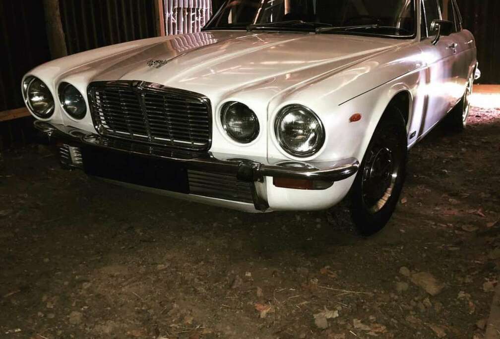 Jaguar