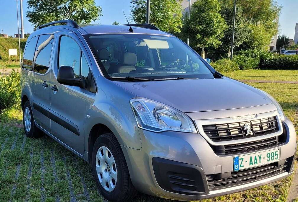 Peugeot Tepee 110 Stop&Start Allure