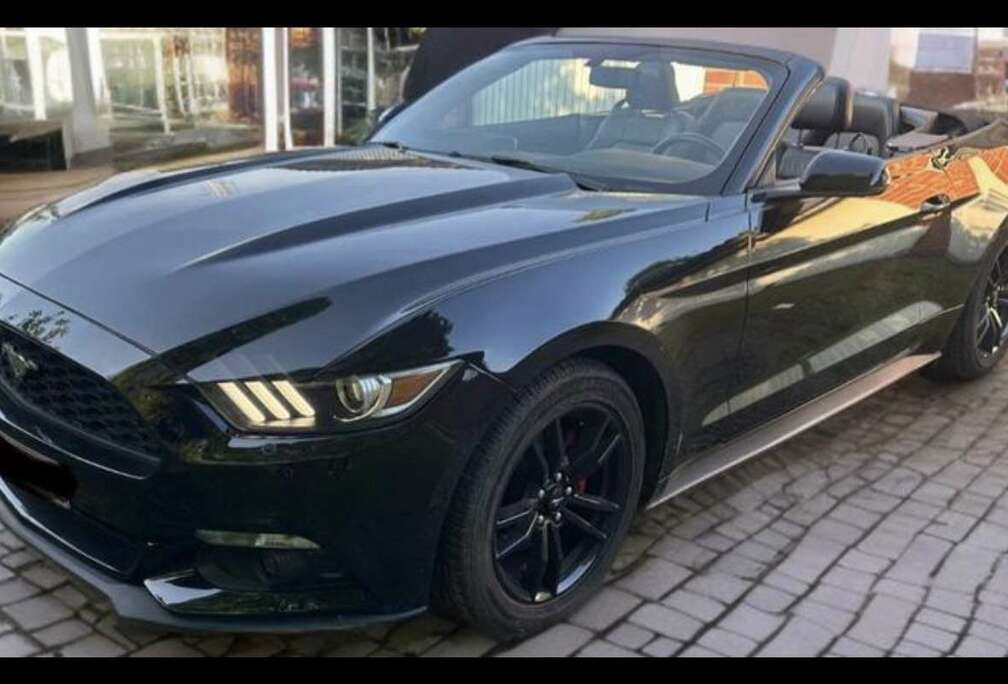 Ford Convertible 2.3 EcoBoost