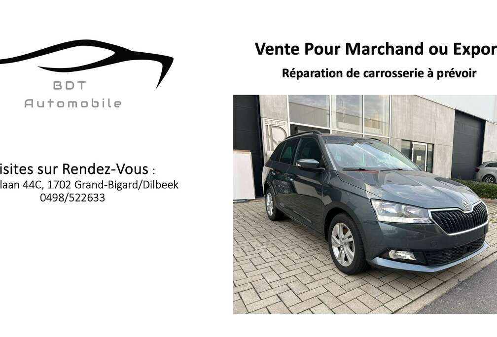 Skoda SW 1.0 TSI DSG ** Marchand ou Export Uniquement**