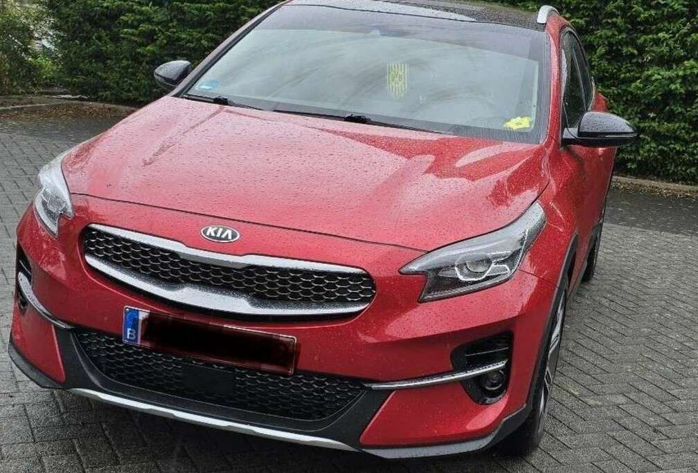 Kia 1.6 CRDi Eco-Dynamics+(48V Mild-Hybrid) DCT7 PLATI