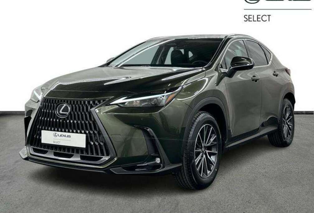 Lexus Executive Line + HUD