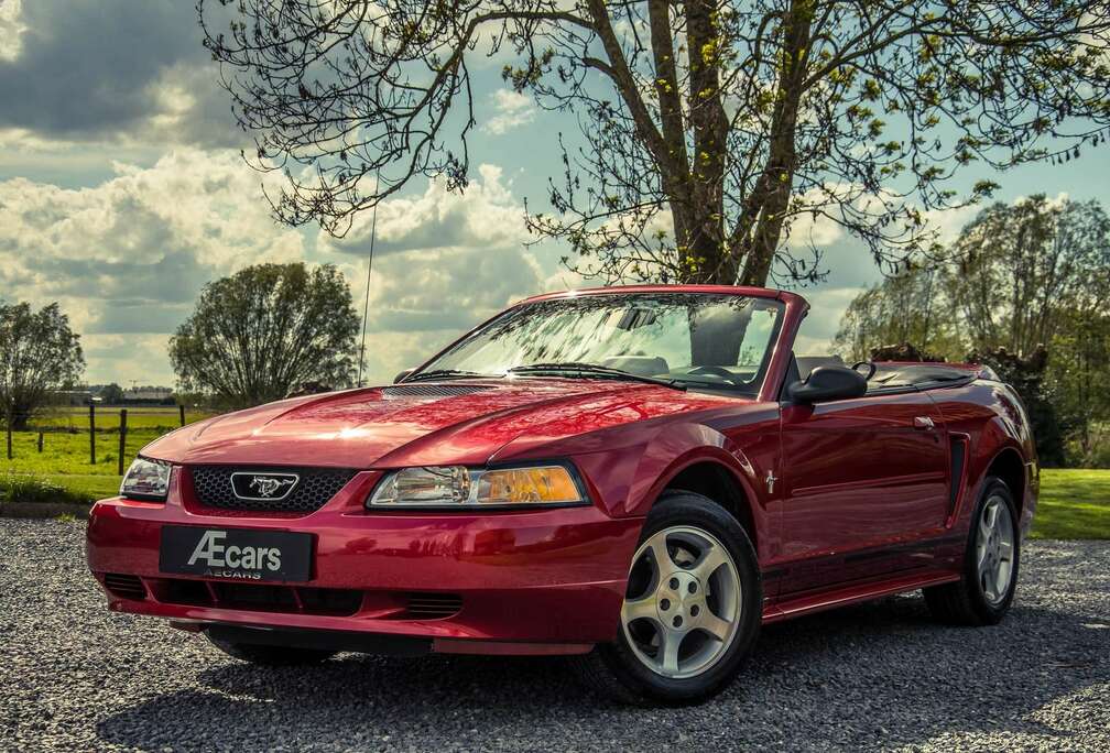 Ford 3.8i V6 *** CABRIOLET / AUTO / ONLY 12.300 KM ***