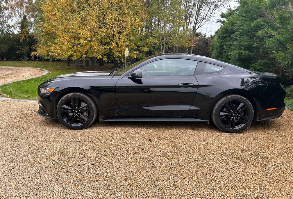 Ford Mustang 2.3 Eco Boost NIEUWE MOTOR