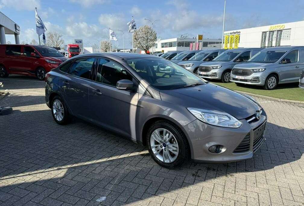 Ford Enkel voor professionele verkoop.