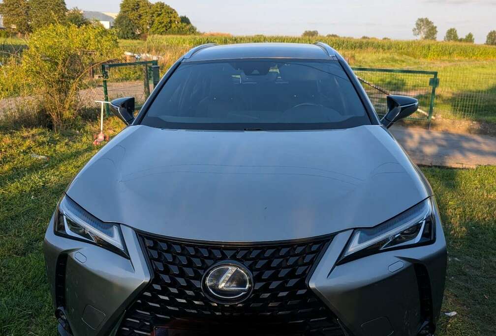 Lexus Amazing Edition