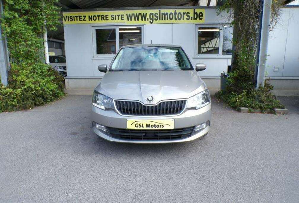 Skoda 1.0TSI 95cv Gris 01/18 106911km Capteurs Clim USB