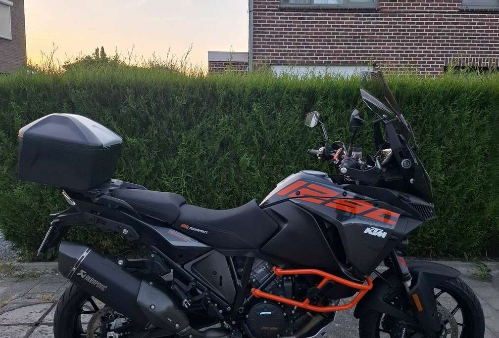 SAS