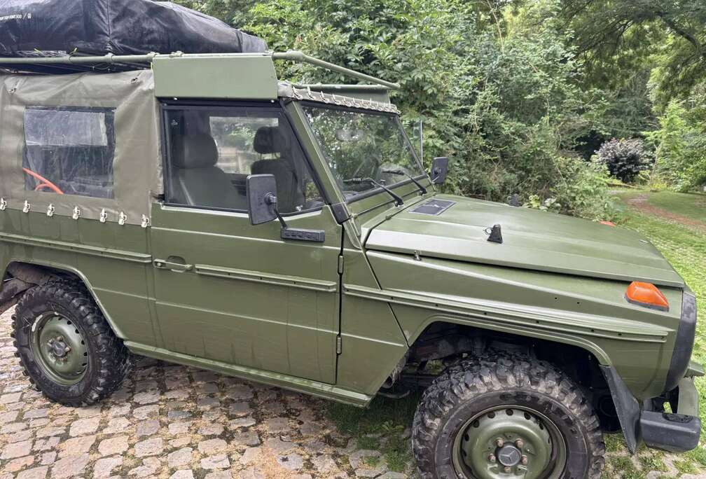 Mercedes-Benz g 250 gd