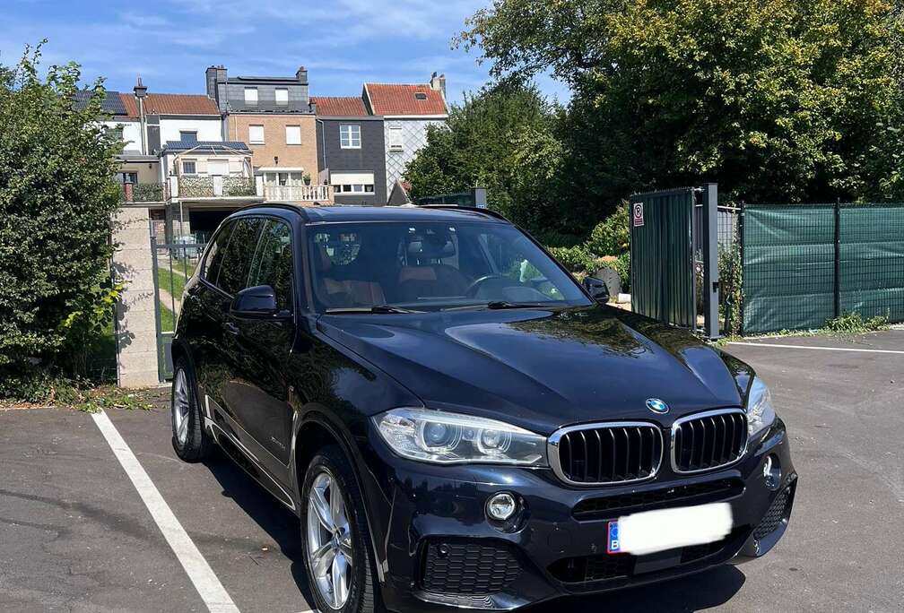 BMW xDrive25d M paket 7 seats